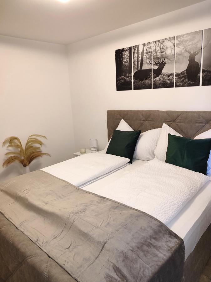 Modern Mountain - Free Parking & Sauna Apartment Obertauern