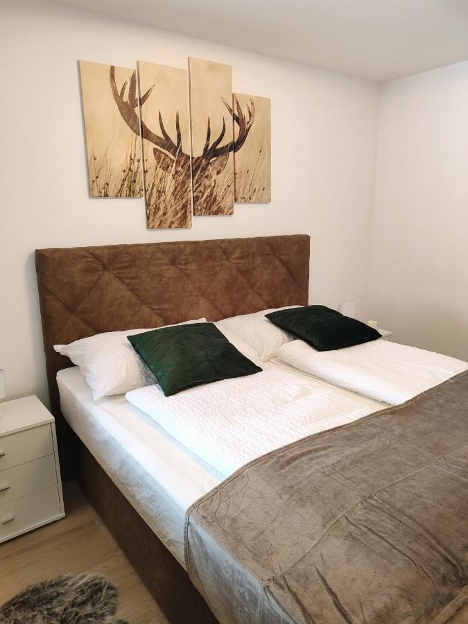 Modern Mountain - Free Parking & Sauna Obertauern